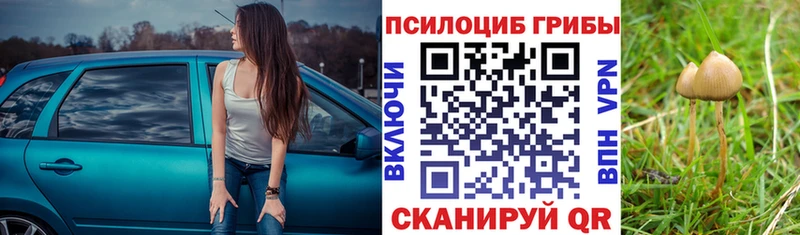 Псилоцибиновые грибы ЛСД  Полярный 